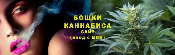 PSILOCYBIN Баксан