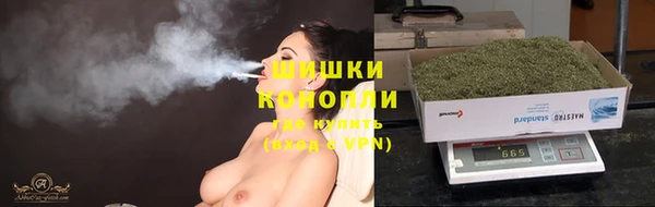 PSILOCYBIN Баксан
