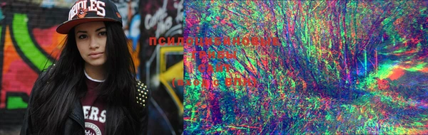 PSILOCYBIN Баксан