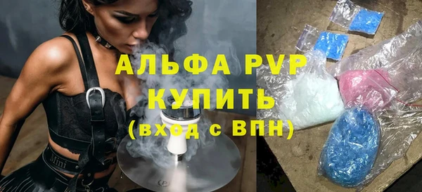 PSILOCYBIN Баксан