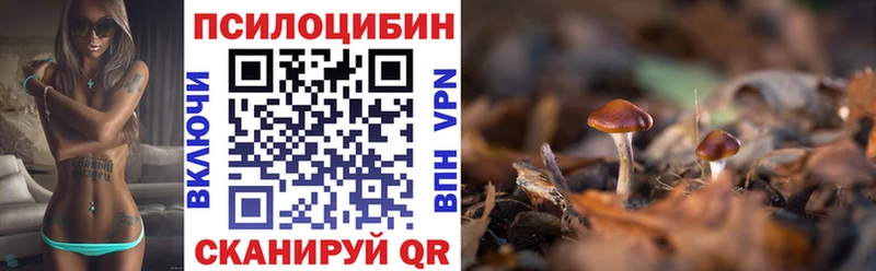 Купить закладки  Котельники  Псилоцибиновые грибы ЛСД 