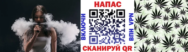 Купить где  Котельники  МАРИХУАНА ГИДРОПОН 